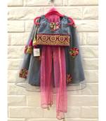 Grey Emroidered Lehenga Set