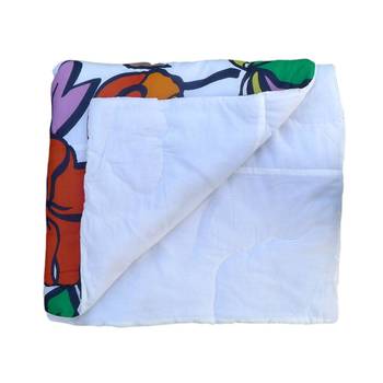 Reme Pure Cotton Printed Quilts And Comforters 3