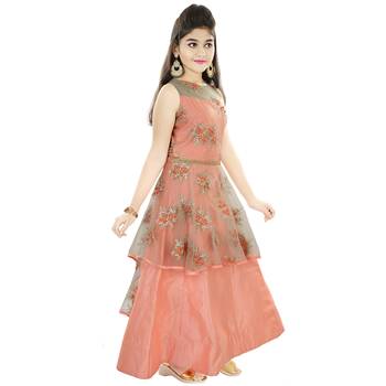 Peach Emnroidered Net And Silk Frill Gown 3