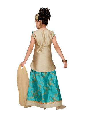 Red Silk Blend Lehnga Choli 3