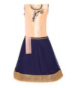 Orange Net Lehnga Choli