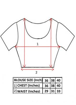 Black Net Fancy Blouse 5