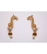 Jay malhar marathi serial kaan earrings