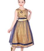 Blue Embroidered Net Kids Girl Gowns