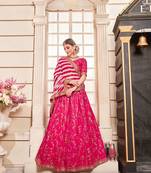 Rani-Pink Embroidered Silk Semi Stitched Lehenga