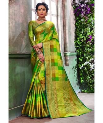 Multicolor Banarasi Pure Silk Checks Jacquard Work Traditional Saree 1