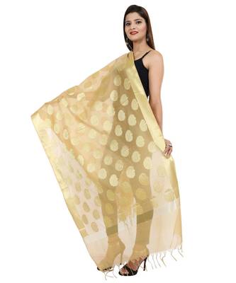 beige  Banarasi Silk Booti & Jaal Dupatta 2