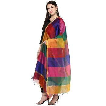 multicolor  Multi Checks Chenderi Dupatta 2