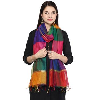multicolor  Multi Checks Chenderi Dupatta 3