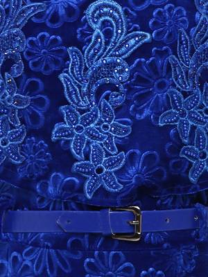 Blue Velvet Party Gown 3