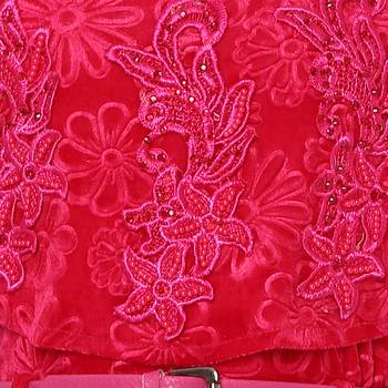 Red Silk Blend Party Gown 3