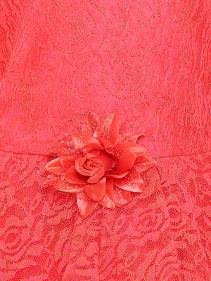 Red Nylon Party Gown 3