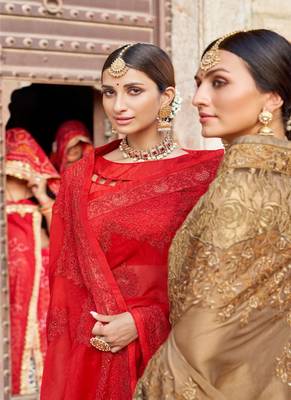 Red embroidered georgette saree with blouse 2