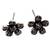 Multicolor Crystal Earrings