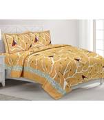 Pure Cotton Multicolour  Double Bed Bedsheet With Pillow Cover