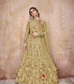 Light-parrot-green embroidered net salwar