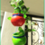 Planters (Red & Green)