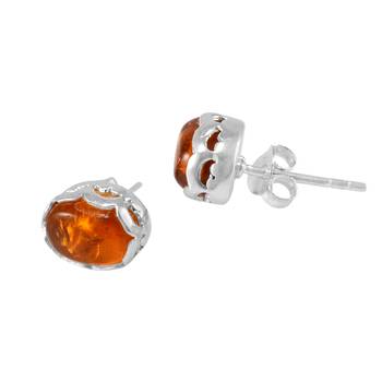 Multicolor Amber Earrings 1