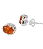 Multicolor Amber Earrings