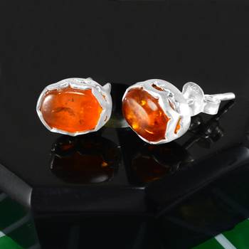 Multicolor Amber Earrings 2