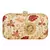 Anekaant Tulle Embroidered Faux Silk Clutch Natural & Multi