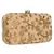 Anekaant Tulle Embroidered Velvet Clutch Beige &Gold
