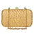 Anekaant Tulle Printed Silk Clutch Yellow & Gold