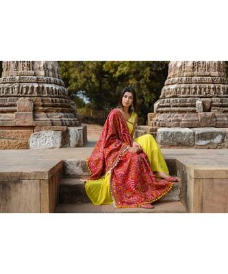 Red Tribal Motif Aari Embroidered Khadi Shawl/Dupatta With Lemon Cotton Lace 2
