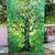 Indan 100% Cotton Queen Size Green Dry Tree Tapestry