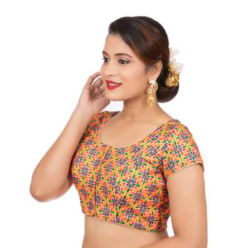 Dupion Silk Embroidered Beige Readymade Saree Blouse 2