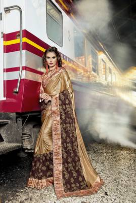 Brown embroidered lycra saree with blouse 1