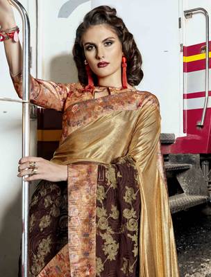 Brown embroidered lycra saree with blouse 2