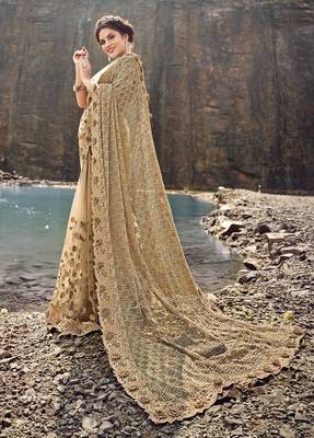 Chiku embroidered net saree with blouse 1