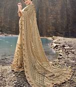 Chiku embroidered net saree with blouse