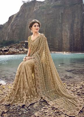 Chiku embroidered net saree with blouse 2