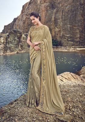 Chiku embroidered lycra saree with blouse 1