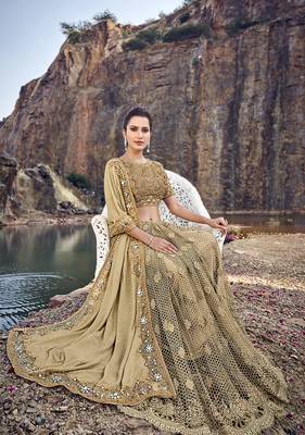 Chiku embroidered lycra saree with blouse 2