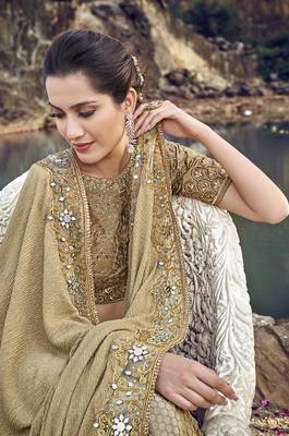 Chiku embroidered lycra saree with blouse 3