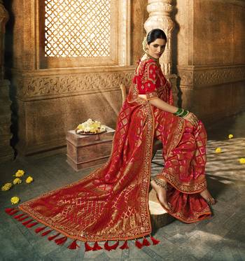 Blood Red Woven Pure Silk Saree With Blouse 2