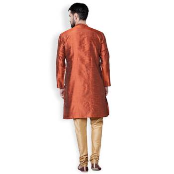 Brown-Gold Solid & Embroidered Dupion Kurta Set 3