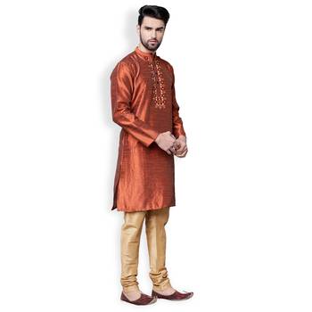 Brown-Gold Solid & Embroidered Dupion Kurta Set 4