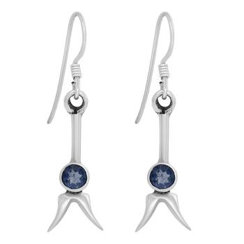 Blue Crystal Earrings 1