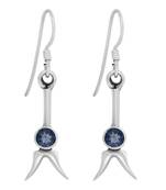 Blue Crystal Earrings