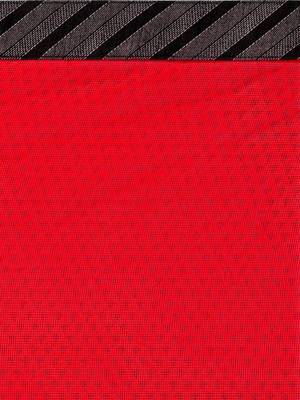 Red printed Net saree with blouse 5