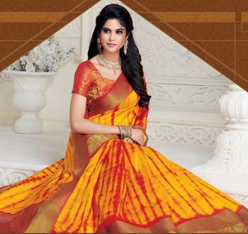 Multicolor woven raw silk saree with blouse 2