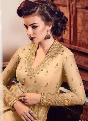 Beige Embroidered Net Salwar 2