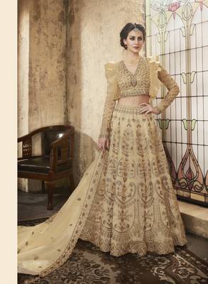 Beige Embroidered Net Semi Stitched Salwar With Dupatta 1