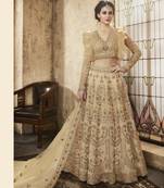 Beige Embroidered Net Semi Stitched Salwar With Dupatta