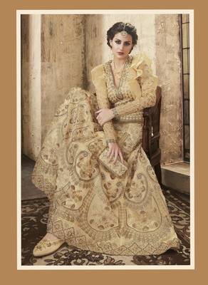Beige Embroidered Net Semi Stitched Salwar With Dupatta 3