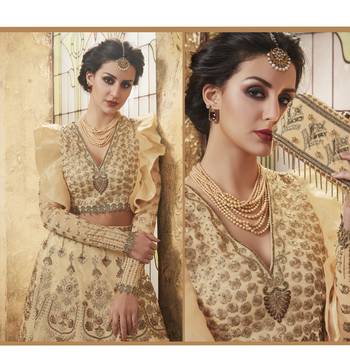 Beige Embroidered Net Semi Stitched Salwar With Dupatta 4